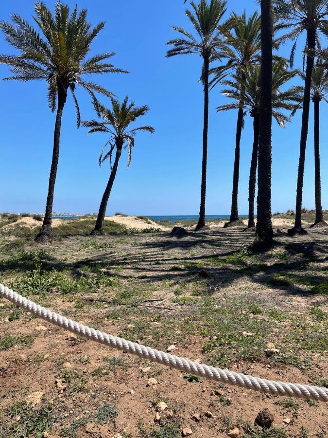 Apartamento Exclusivo Y Central Torrevieja Eksteriør billede