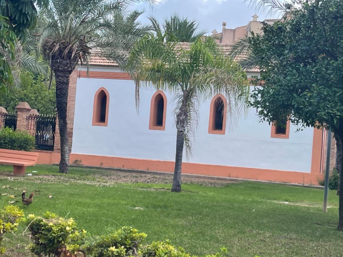 Apartamento Exclusivo Y Central Torrevieja Eksteriør billede